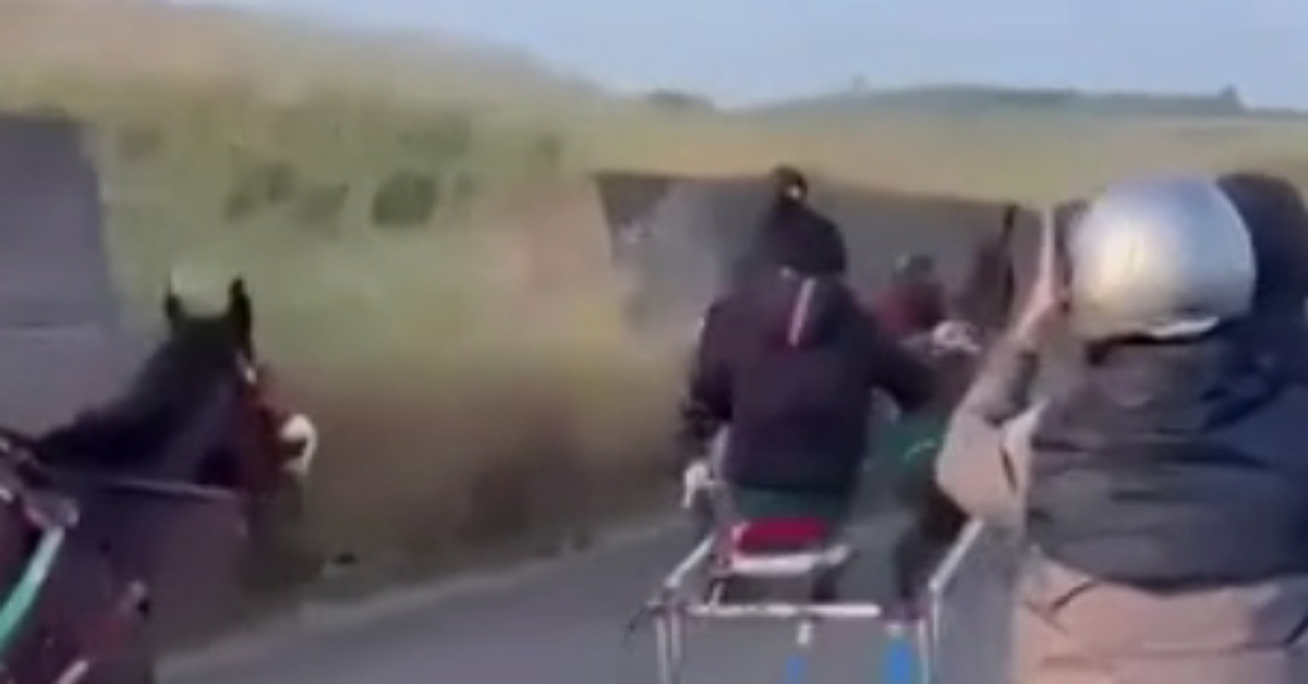 Palagonia, presunta corsa clandestina di cavalli: “Spari durante la gara”