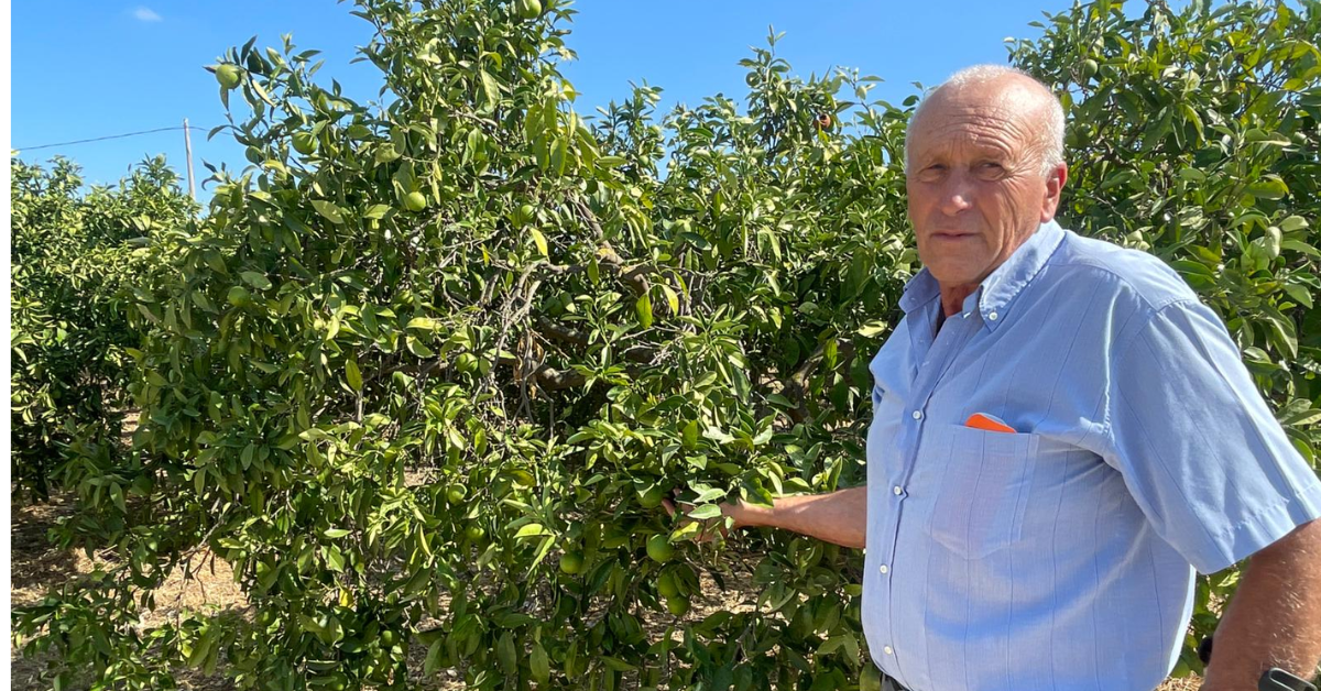 Stagione irrigua 2026: richiesta urgente dagli agricoltori riberesi