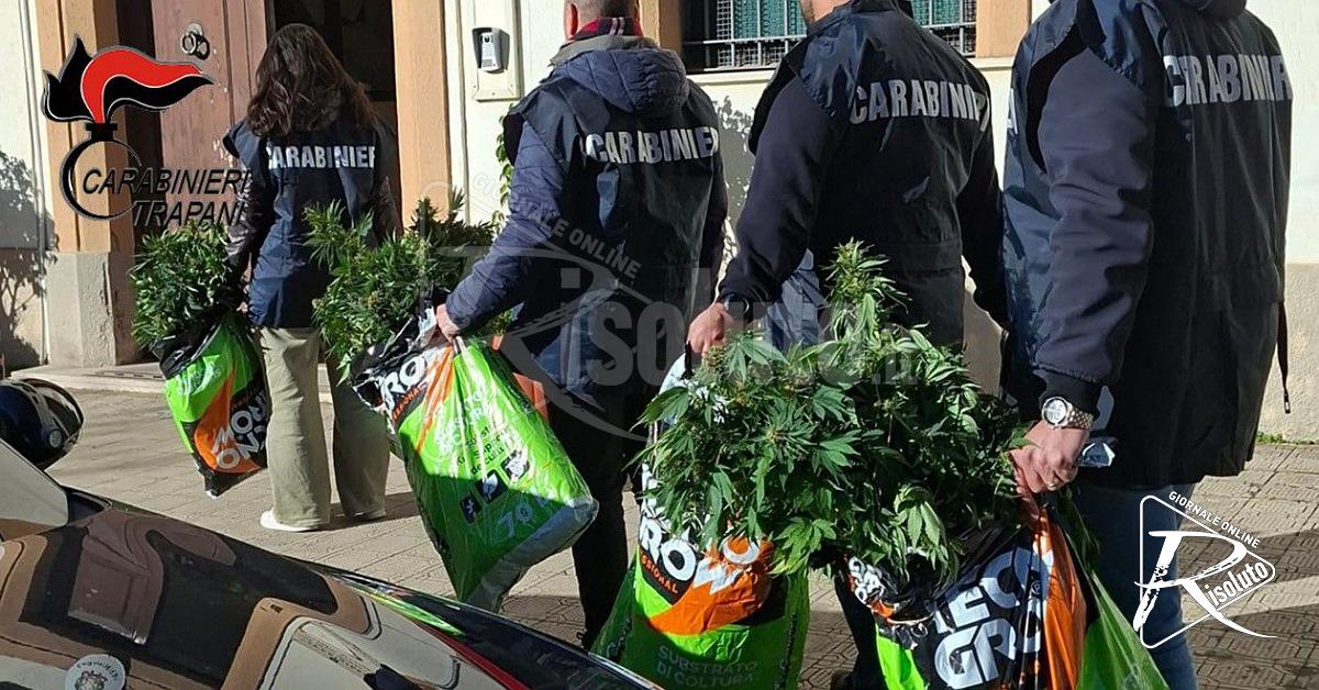 Alcamo, coltivava marijuana in casa con allaccio abusivo alla rete elettrica: arrestato 43enne